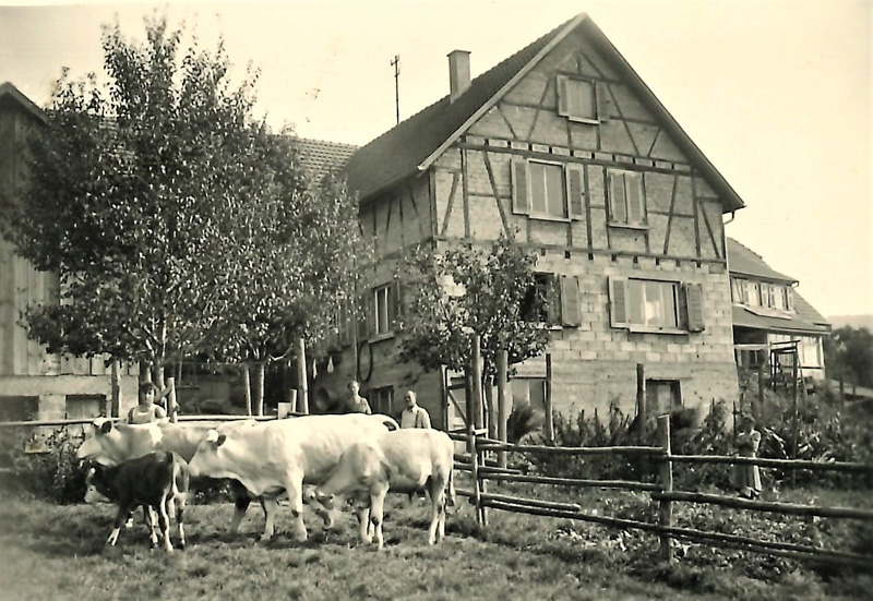 Bei Wilhelm Rall 1944, Südseite der späteren  Metzgerei Steck